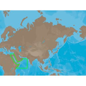 C-MAP NT+ ME-C202 - Red Sea-Arabian Sea - C-Card