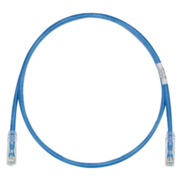 PANDUIT Cat.6 UTP Patch Cord - RJ-45 Male Network - RJ-45 Male Network - 15ft - Blue