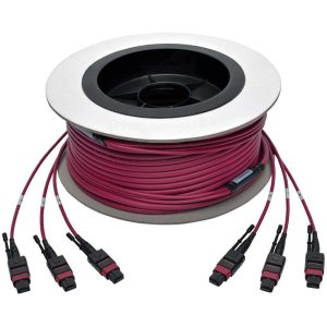 Tripp Lite N858-23M-3X8-MG MTP/MPO MultiMode Base-8 Trunk Cable 23 M