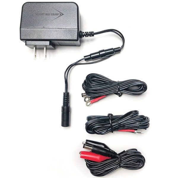 Bright Way Group 5208 5208 Dual Stage Charger