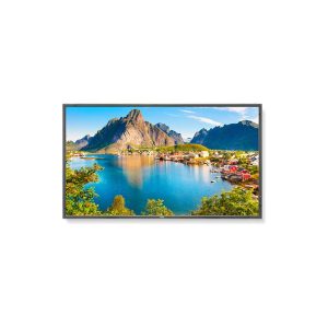 NEC E805 80 inch Large Screen 5