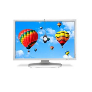 NEC MultiSync PA302W-SV 30 inch 1