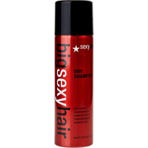 BIG SEXY HAIR DRY SHAMPOO 3.4 OZ - SEXY HAIR by Sexy Hair Concepts