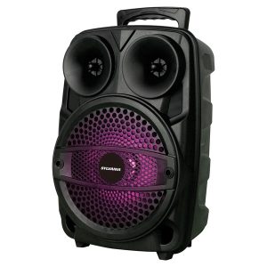 SYLVANIA SP740-C 8-Inch 15-Watt Bluetooth Tailgate Speaker with FM Radio